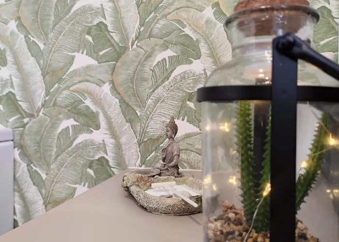 Silvana Campo Y Ciudad *