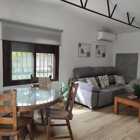 Silvana Campo Y Ciudad