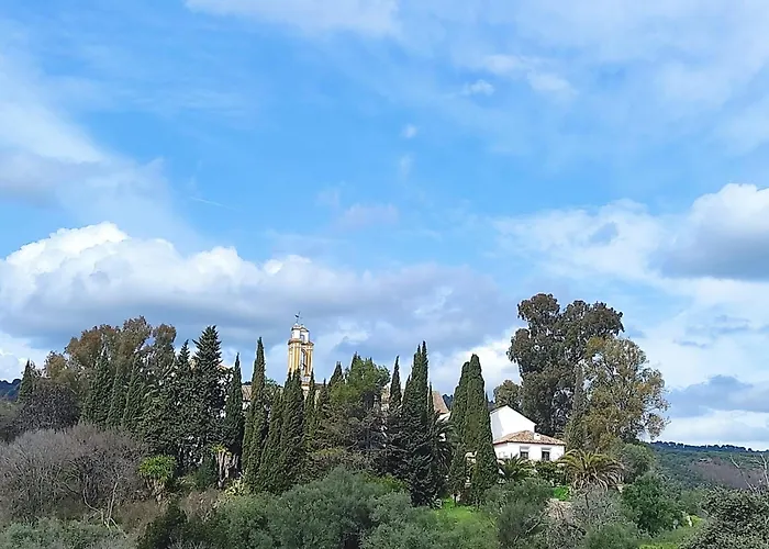 Silvana Campo Y Ciudad