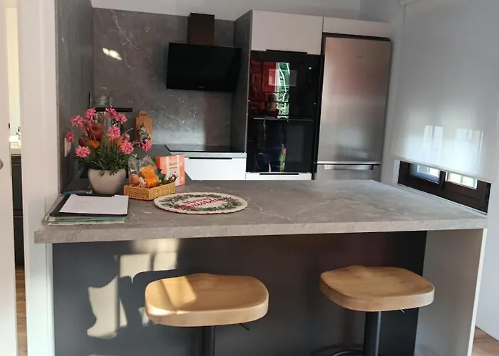 Silvana Campo Y Ciudad *