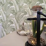 Silvana Campo Y Ciudad *