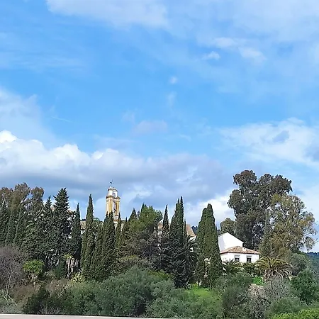 Silvana Campo Y Ciudad